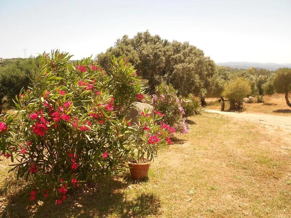 B&B L' Incantu Santa Teresa Gallura