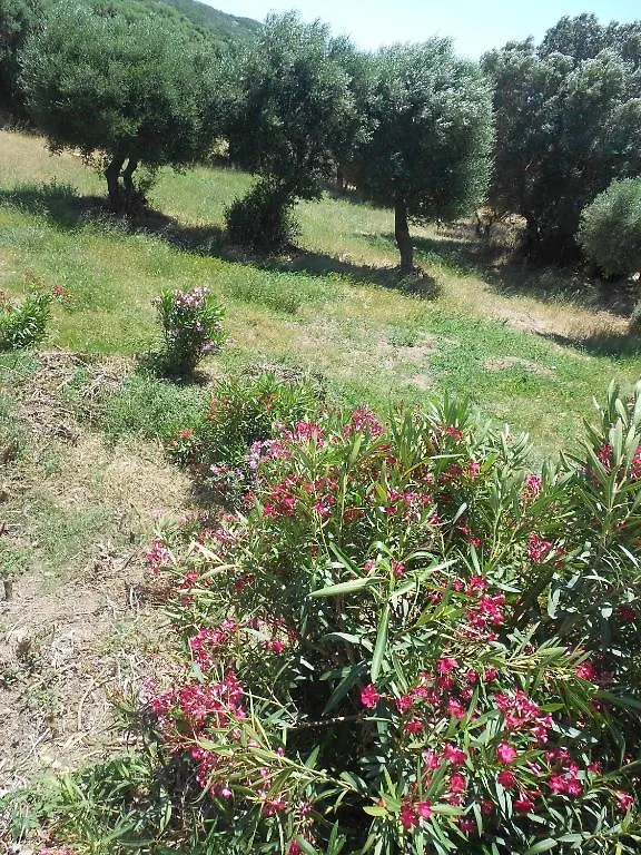 B&B L' Incantu Santa Teresa Gallura Frühstückspension